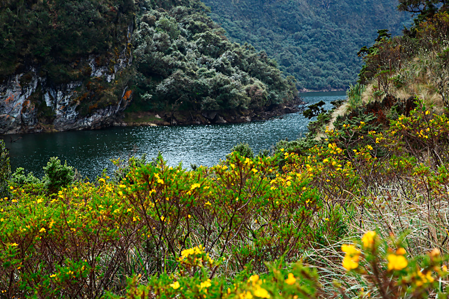 Источники Папаякта