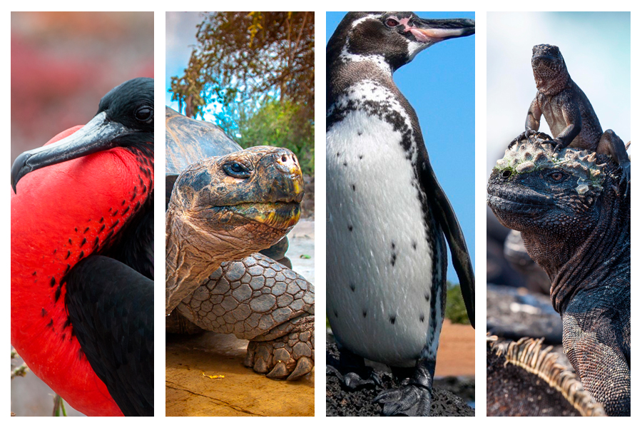 Когда лучше ехать