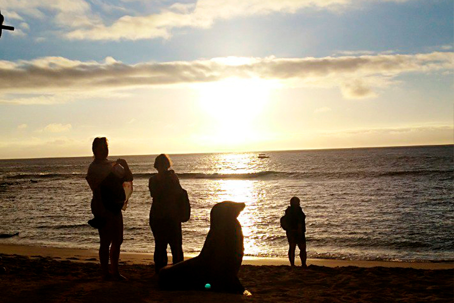 Когда лучше ехать